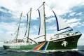 ''Rainbow Warrior'', Greenpeace ricorda il disastro 30 anni dopo