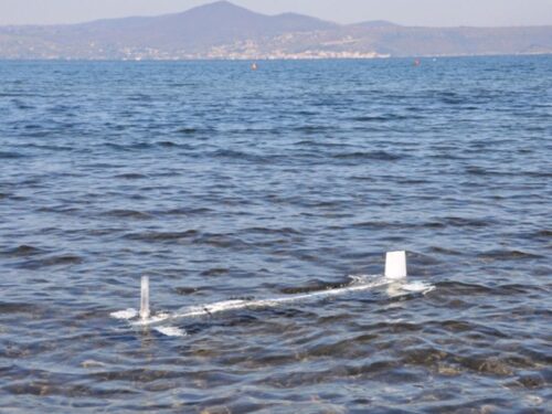 INNOVAZIONE: pesci-robot per la difesa dall’acqua alta