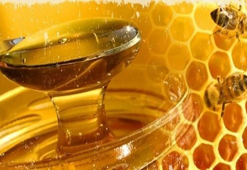 Falso miele cinese (fatto senza api) invade l’Italia. «Costa poco, ma non rispetta le norme»